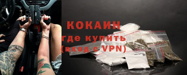 ГАЛЛЮЦИНОГЕННЫЕ ГРИБЫ Ладушкин