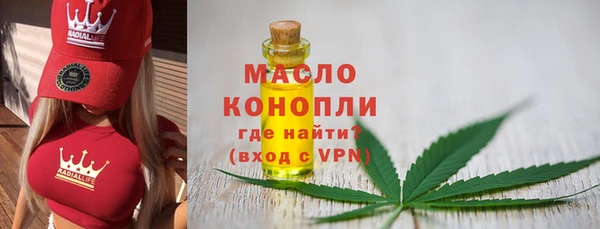 соль ск Кулебаки