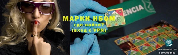 ГАЛЛЮЦИНОГЕННЫЕ ГРИБЫ Ладушкин