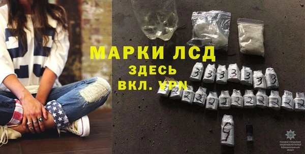 соль ск Кулебаки