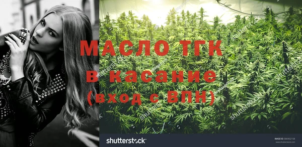ГАЛЛЮЦИНОГЕННЫЕ ГРИБЫ Ладушкин
