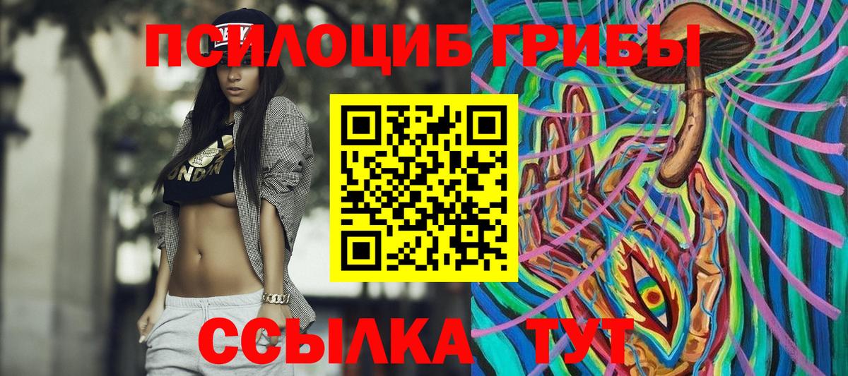 Галлюциногенные грибы Psilocybine cubensis Узловая